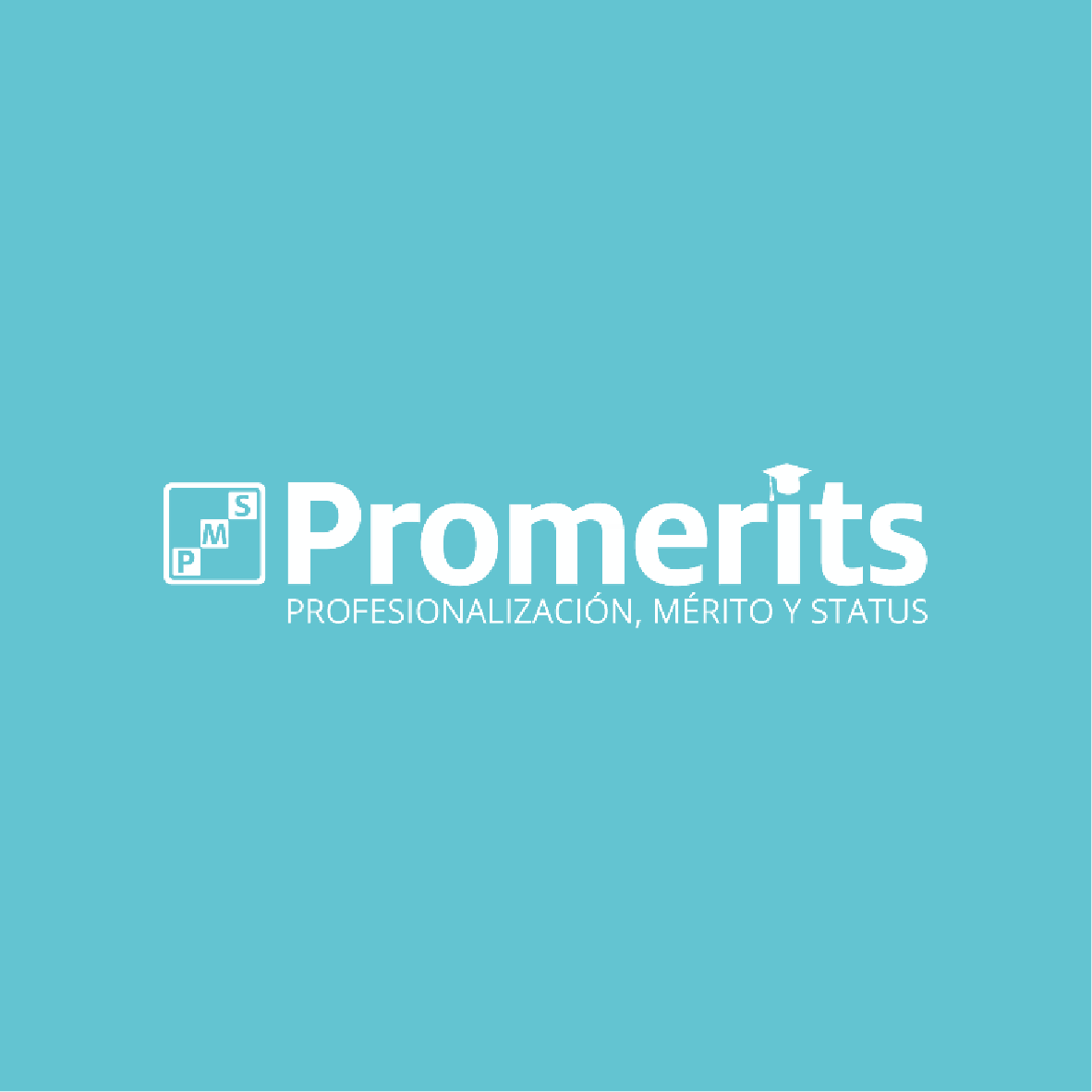 Profesionalización Mérito y Status, S.L.
